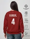 Женский свитшот / Virgil van Dijk 19-20 форма