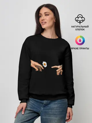 Женский свитшот / Сотворение Адама