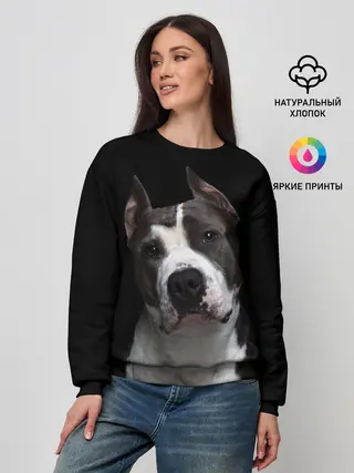 Женский свитшот / Американский питбуль