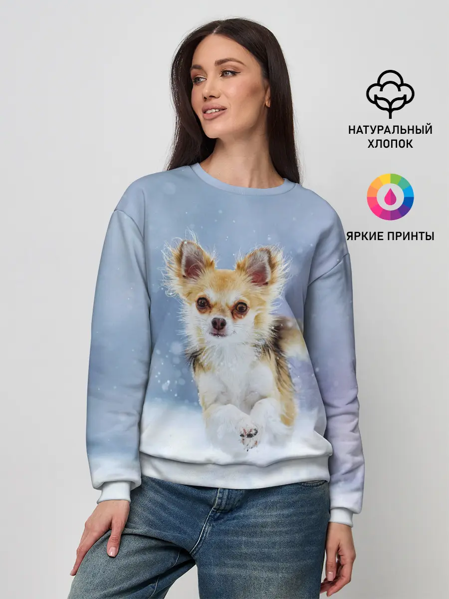 Женский свитшот / Чихуахуа в снегу