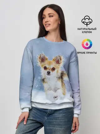 Женский свитшот / Чихуахуа в снегу