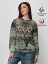 Женский свитшот / Кошка