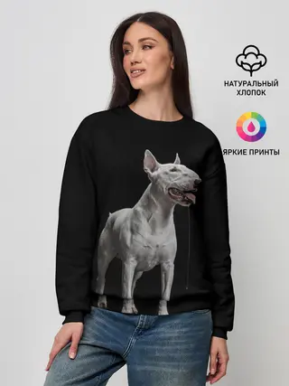 Женский свитшот / Bully