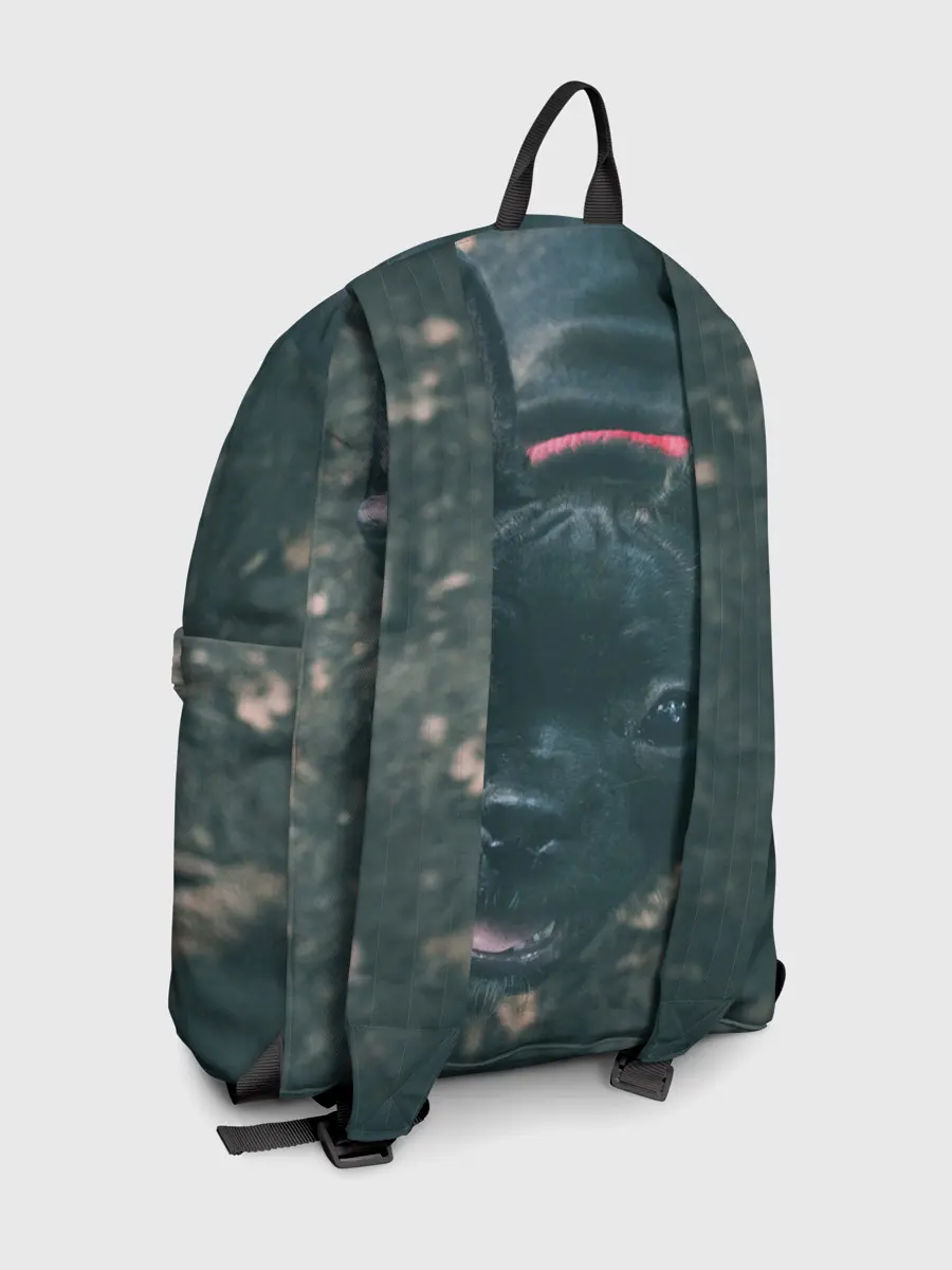 Рюкзак джинсовый / Бульдог морда собакена черного