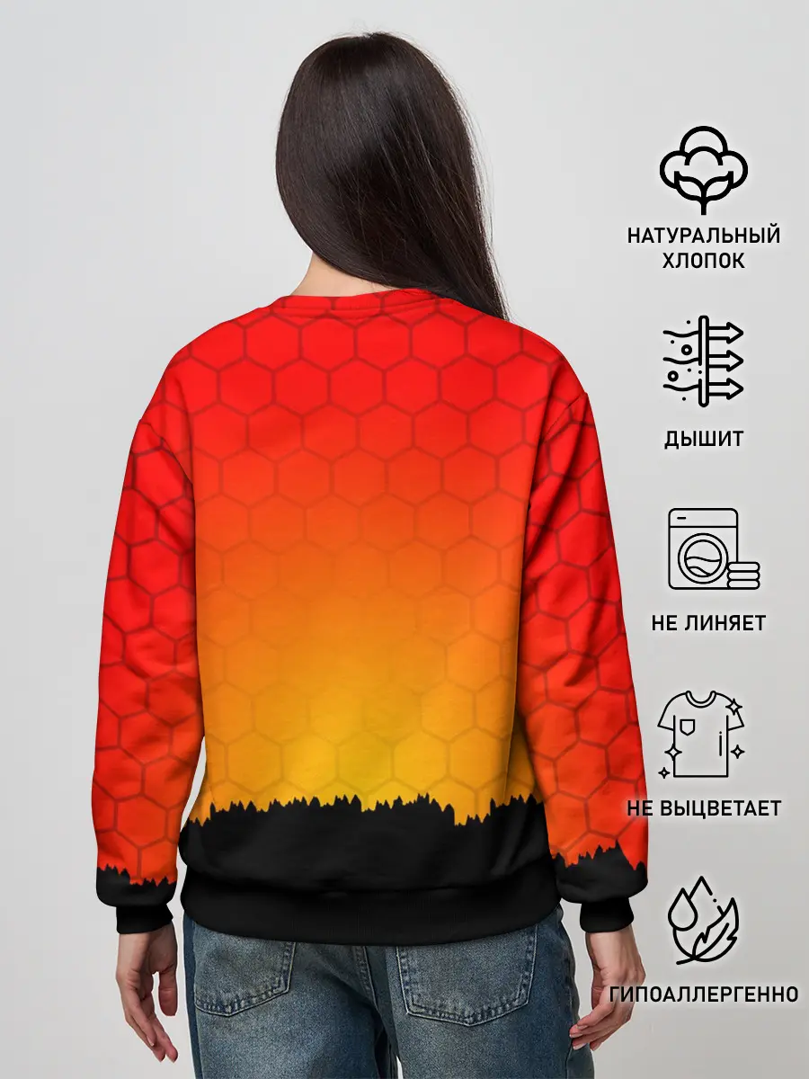 Женский свитшот / DAYZ