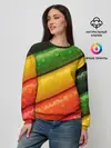 Женский свитшот / Цветные линии