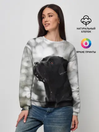 Женский свитшот / Лабрадор Марк