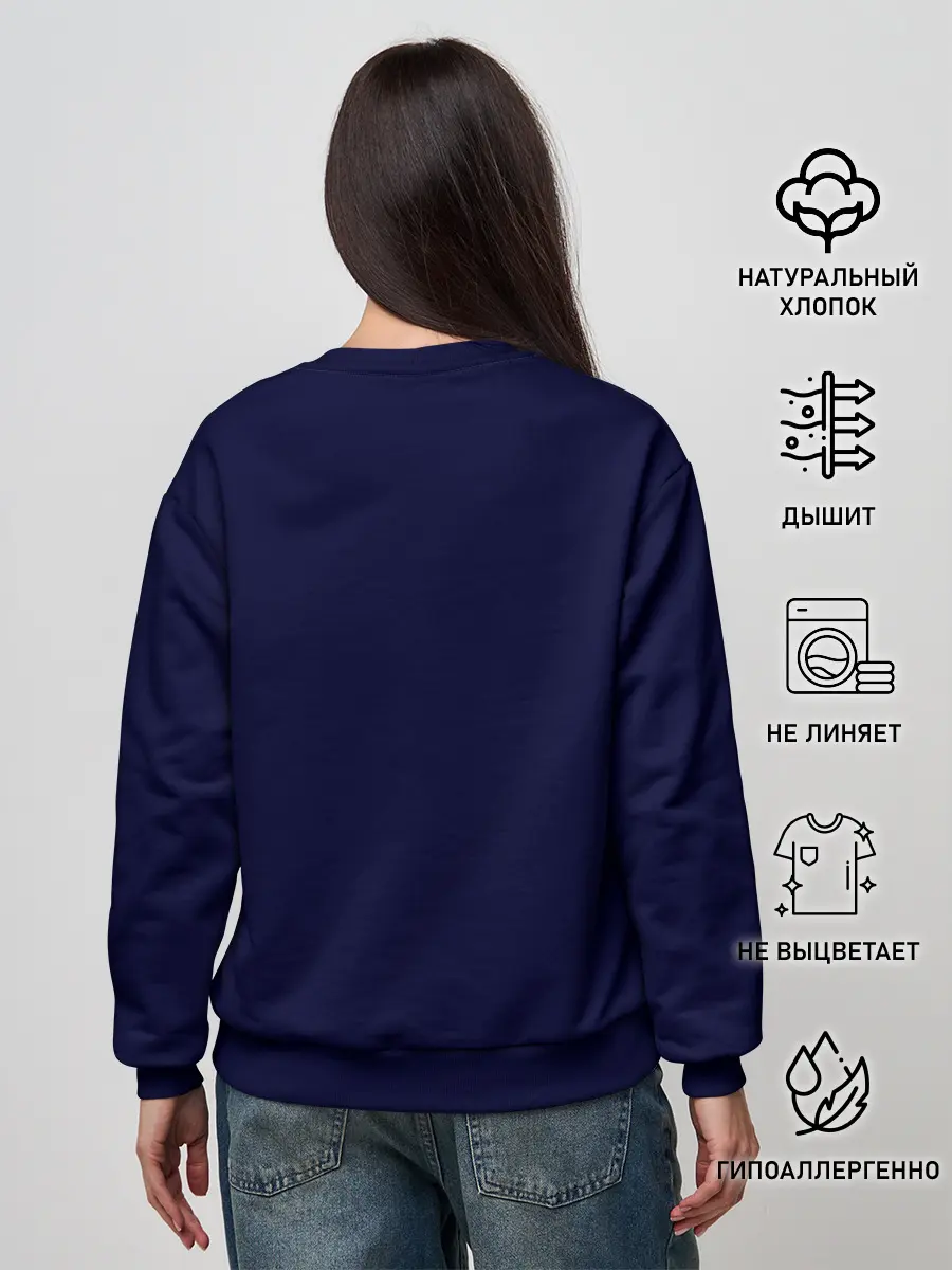 Женский свитшот / Minecraft