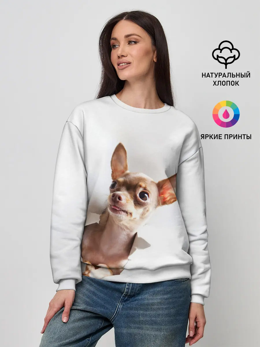 Женский свитшот / Чихуахуа из бумаги вылазит
