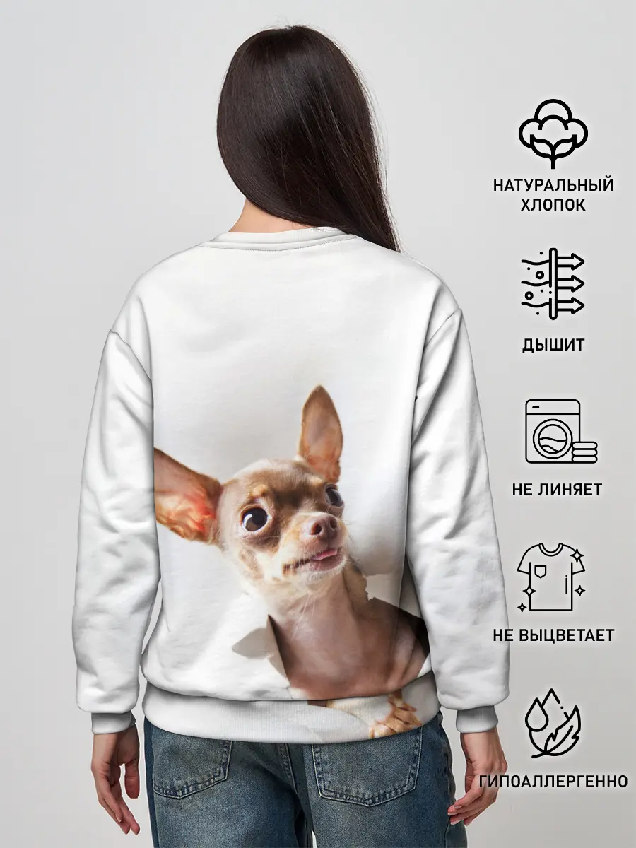 Женский свитшот / Чихуахуа из бумаги вылазит