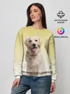 Женский свитшот / Лабрадор ретривер пес