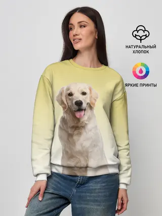 Женский свитшот / Лабрадор ретривер пес