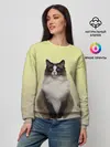 Женский свитшот / персидская пушистая кошка