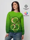 Женский свитшот / земляной анимешный дракон