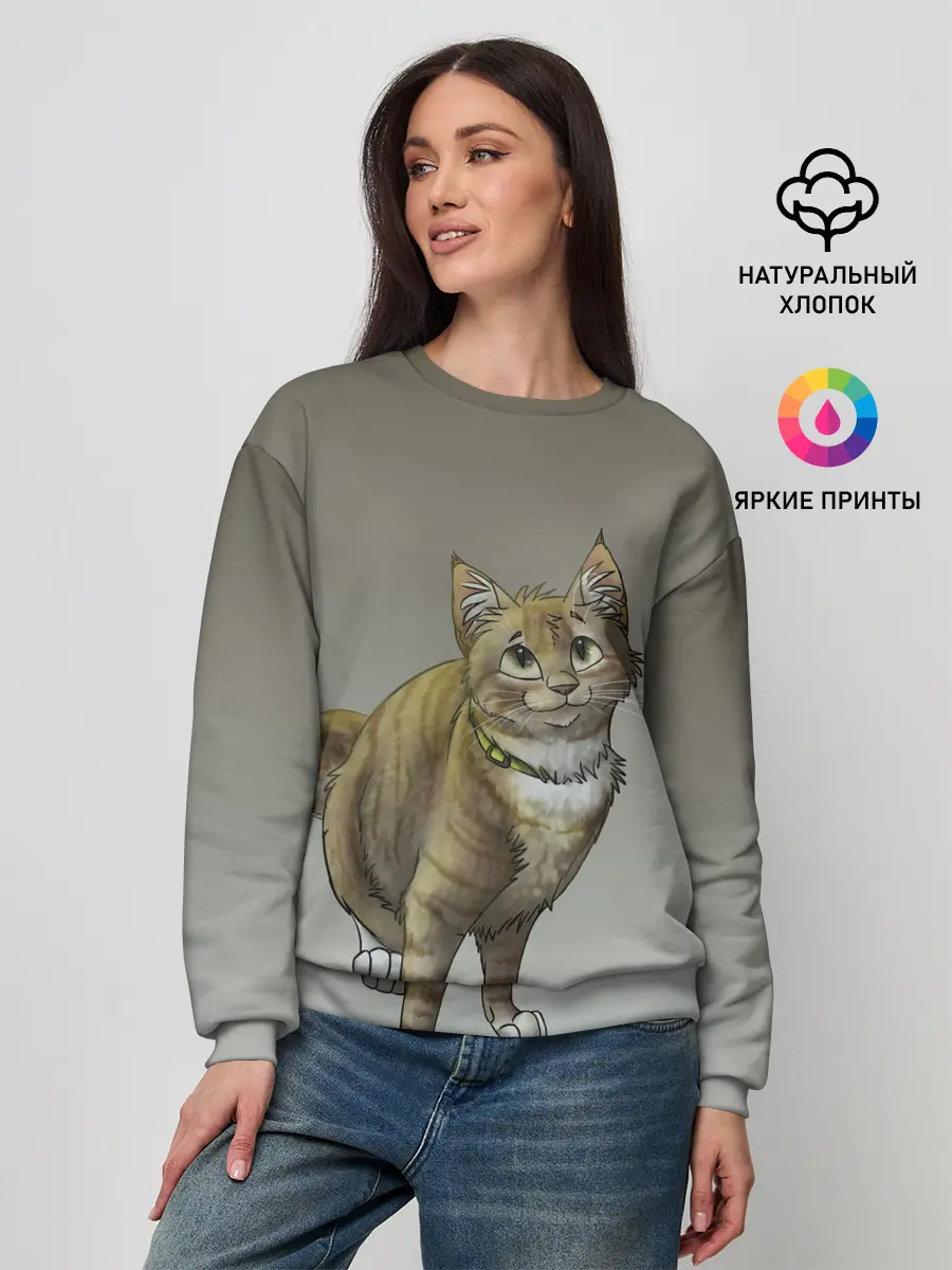 Женский свитшот / полосатый уличный кот