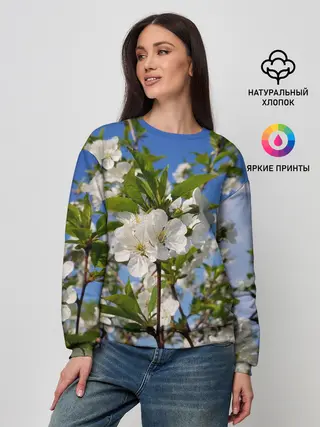 Женский свитшот / Цвет вишни