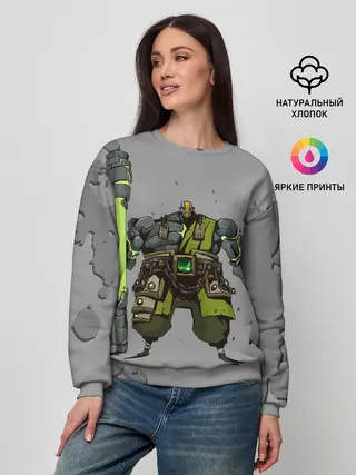 Женский свитшот / Земеля | Dota 2