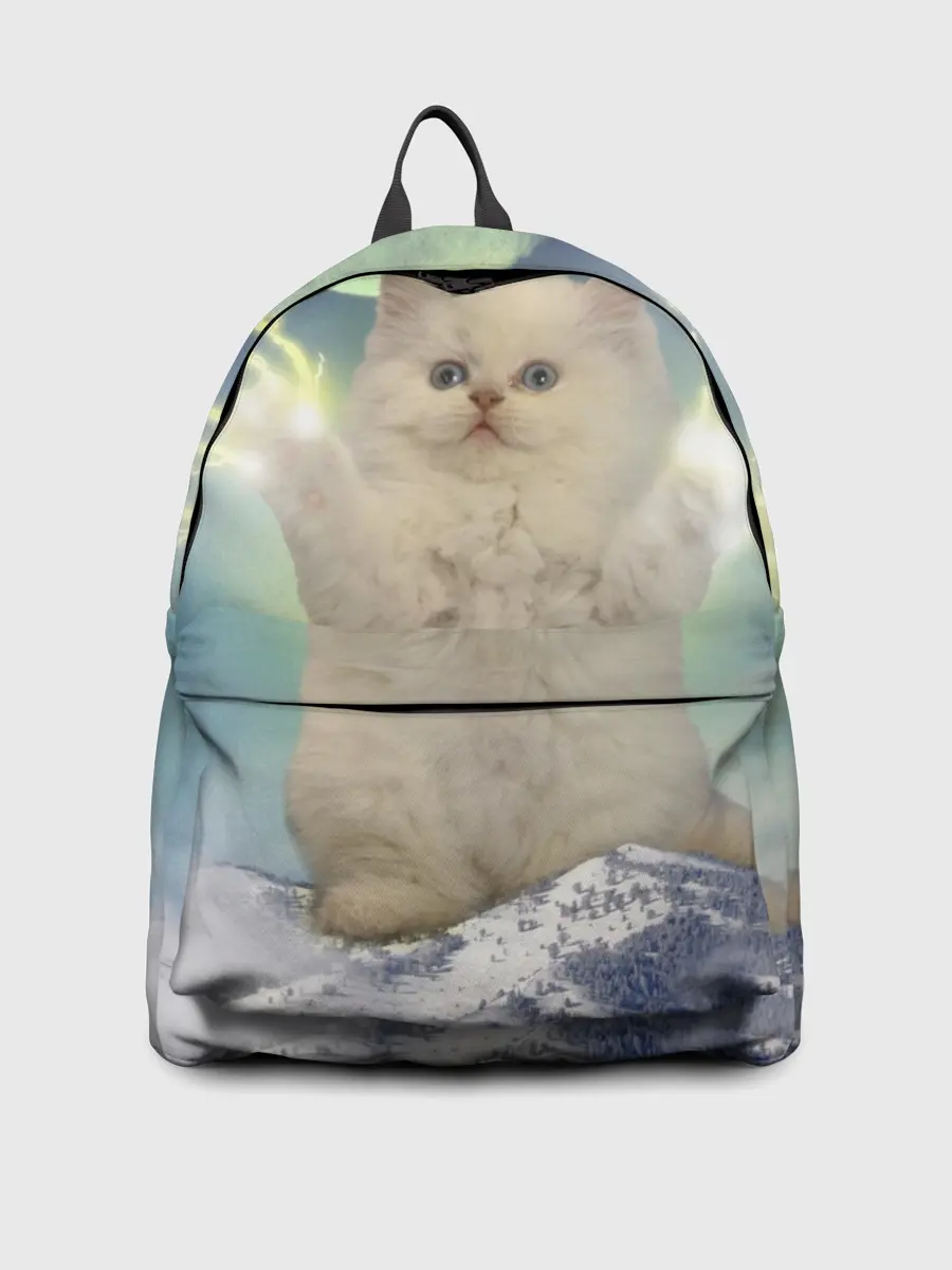 Рюкзак джинсовый / Грозовой Котик