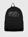 Рюкзак джинсовый / Fantastic Beasts