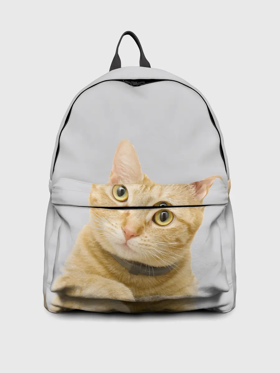 Рюкзак джинсовый / Рыжий котик