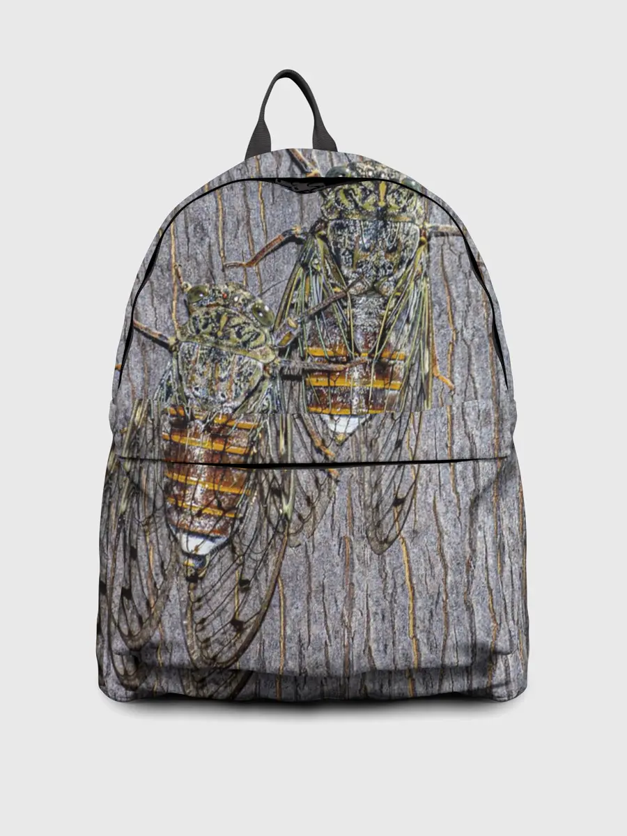 Рюкзак джинсовый / Цикады