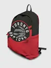 Рюкзак джинсовый / Toronto Raptors BR