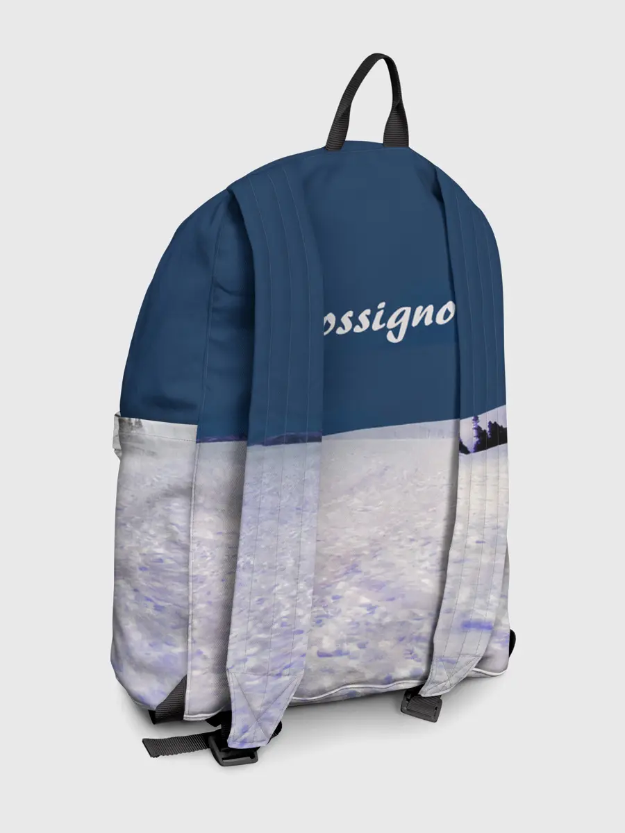 Рюкзак джинсовый / Rossignol