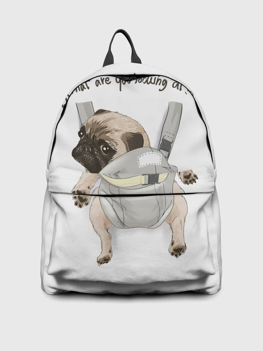 Рюкзак джинсовый / Мопс в рюкзаке