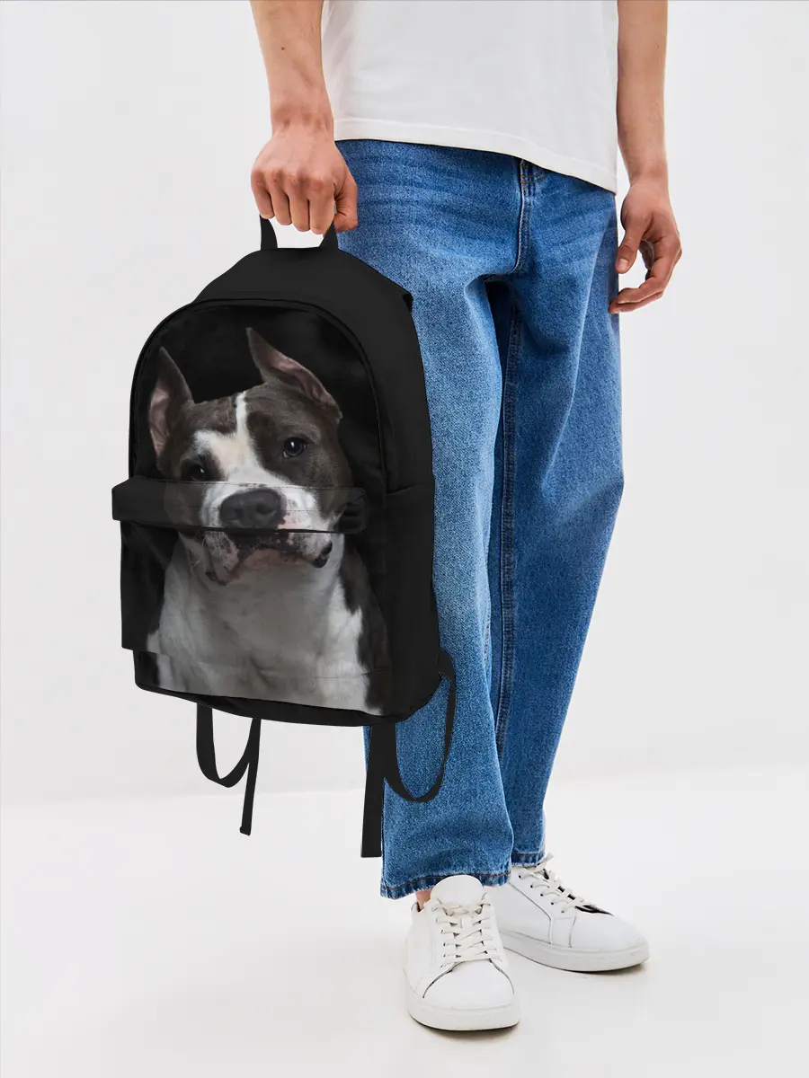 Рюкзак джинсовый / Американский питбуль