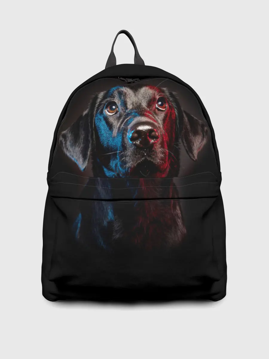 Рюкзак джинсовый / Чёрный лабрадор