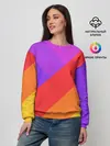 Женский свитшот / РАДУЖНАЯ ГЕОМЕТРИЯ / RAINBOW GEOMETRY