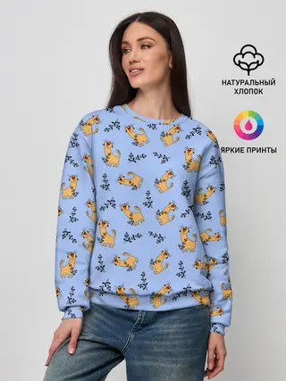 Женский свитшот / Радостный кот