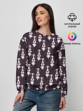 Женский свитшот / Спаниель