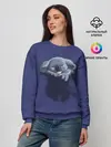 Женский свитшот / Спящая коала