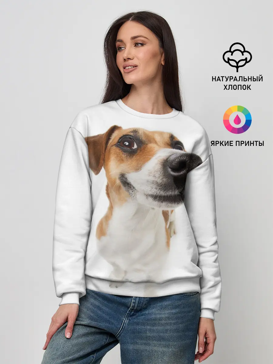 Женский свитшот / Собака