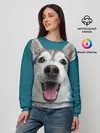 Женский свитшот / Хаски
