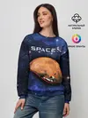 Женский свитшот / Space X
