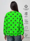 Женский свитшот / звездный фон зеленый