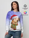 Женский свитшот / Новогодний Лабрадор / New Years Labrador