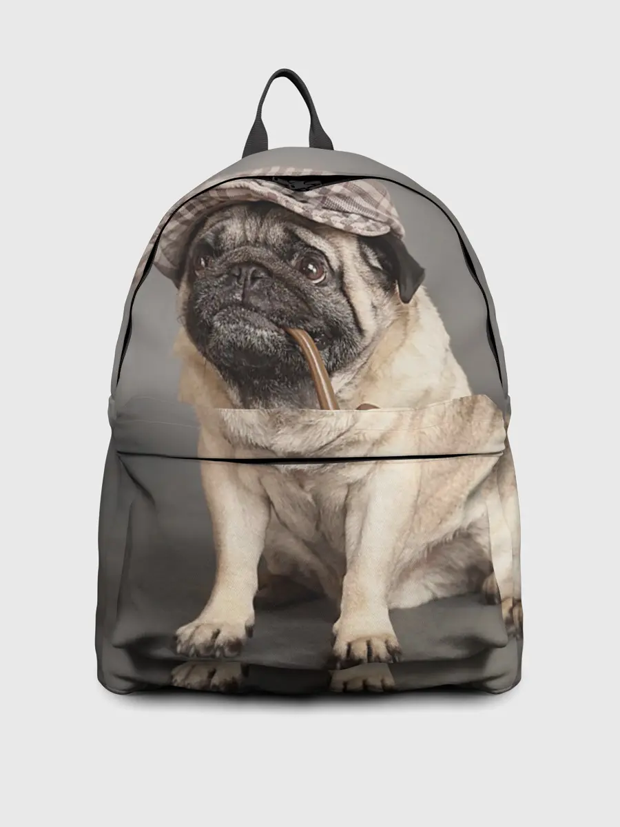 Рюкзак джинсовый / Мопс в кепке