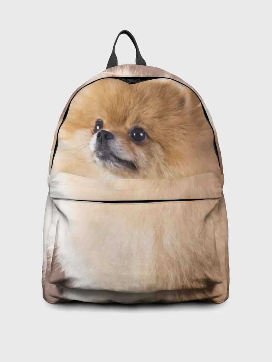 Рюкзак джинсовый / Шпитс