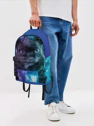 Рюкзак джинсовый / Милый пёс
