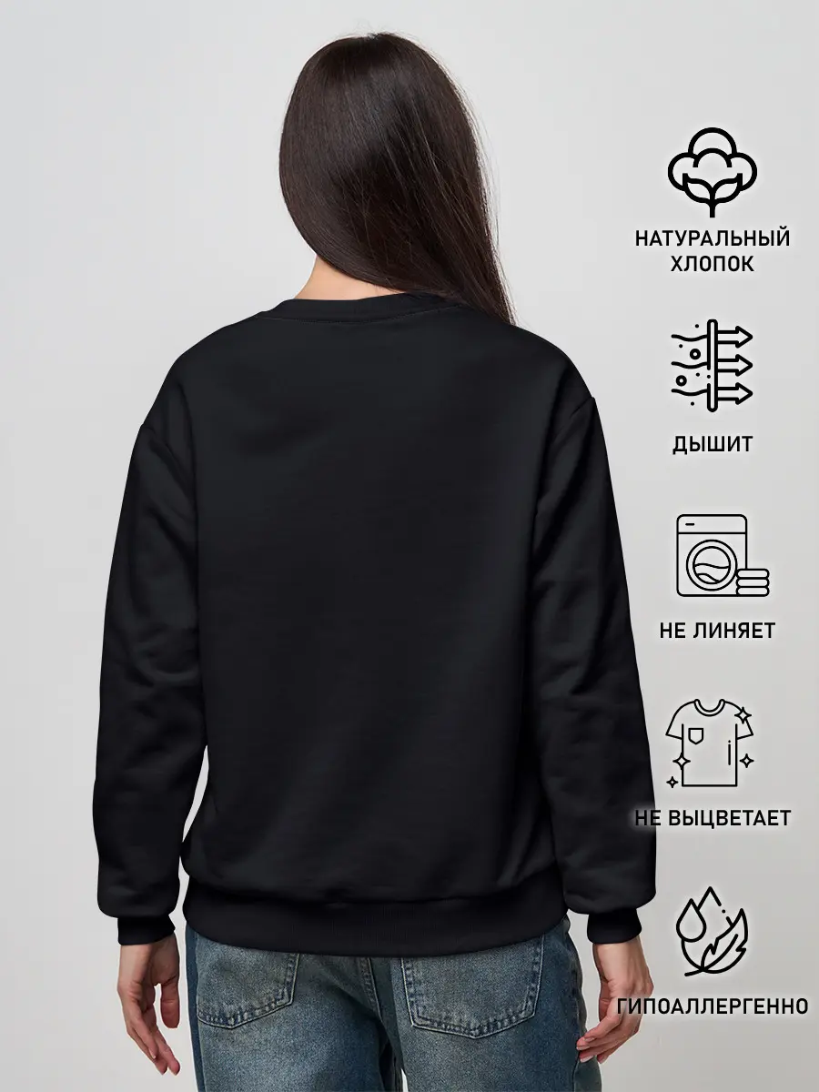 Женский свитшот / Assassins Creed 4: Black Flag