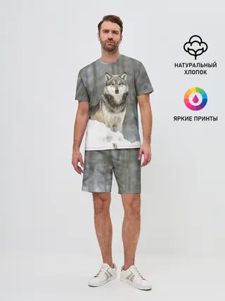 Мужской костюм с шортами / Волк и снег
