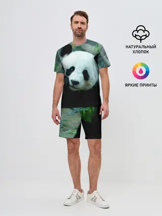 Мужской костюм с шортами / Панда