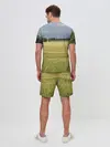 Мужской костюм с шортами / Пшеничное поле