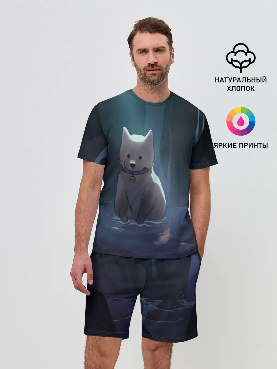 Мужской костюм с шортами / Одинокий пес в озере слез