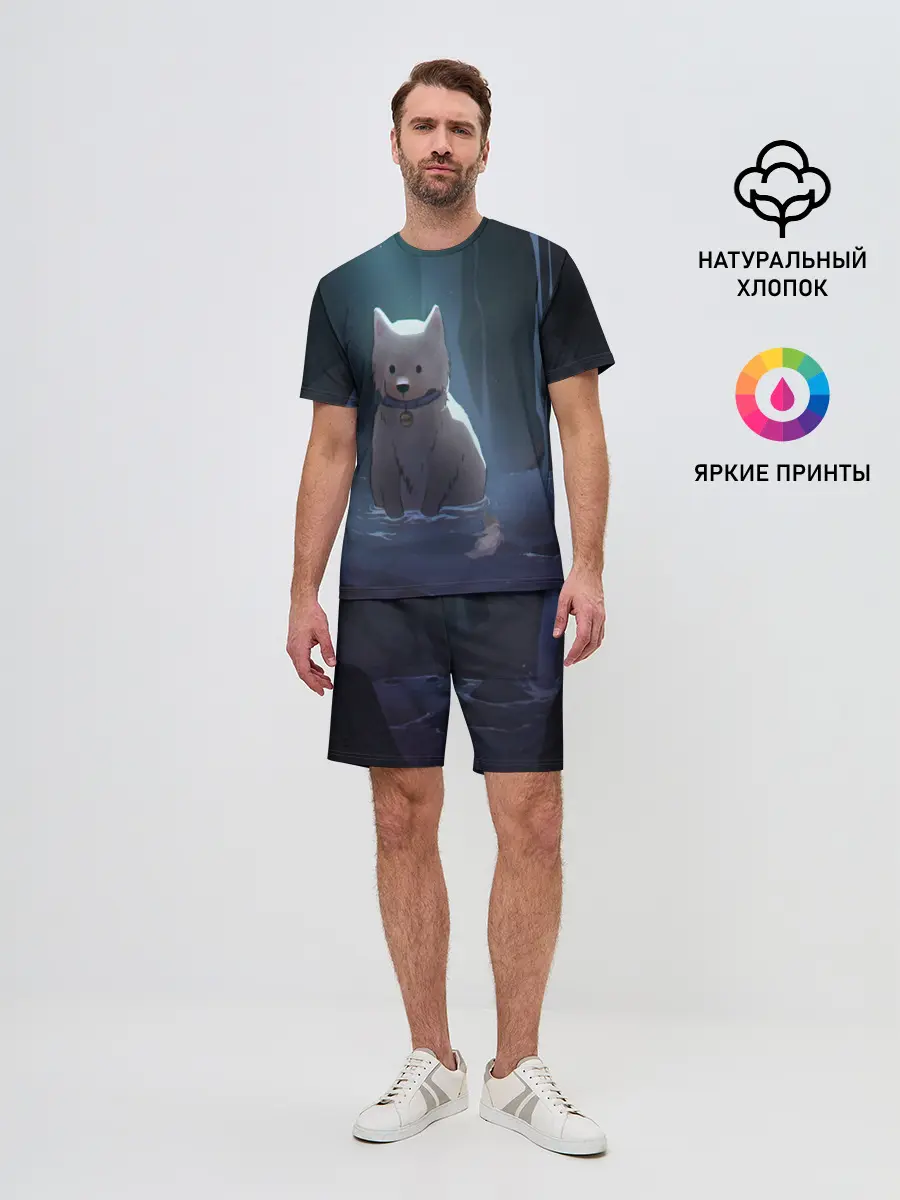 Мужской костюм с шортами / Одинокий пес в озере слез
