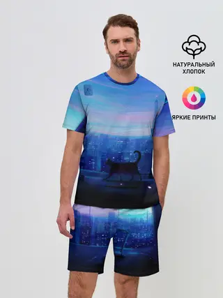 Мужской костюм с шортами / Кошка арт окно