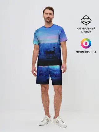 Мужской костюм с шортами / Кошка арт окно